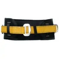Ridgegear RGB1 - Twin D Restraint Belt